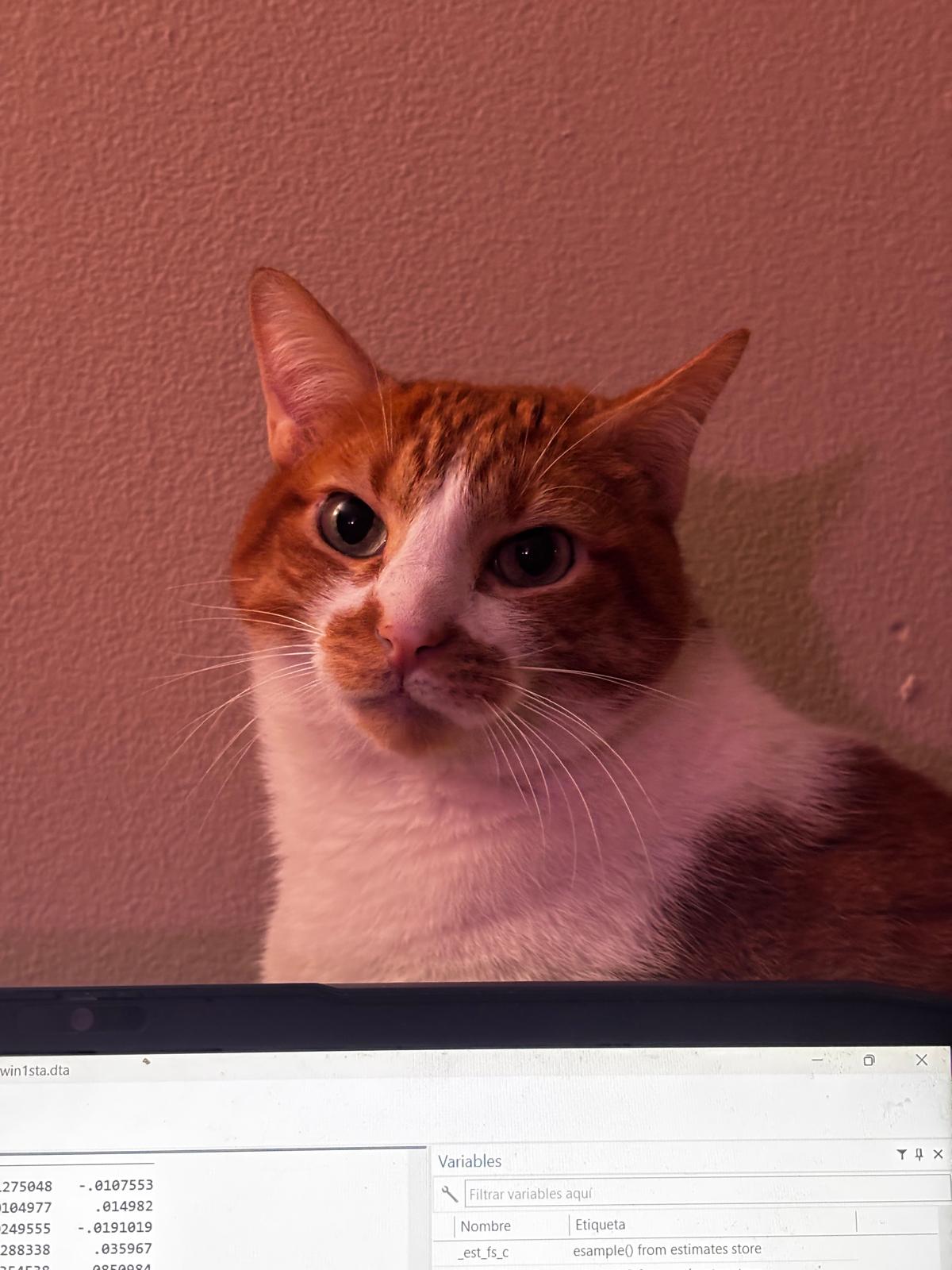 Amelia supervising Stata